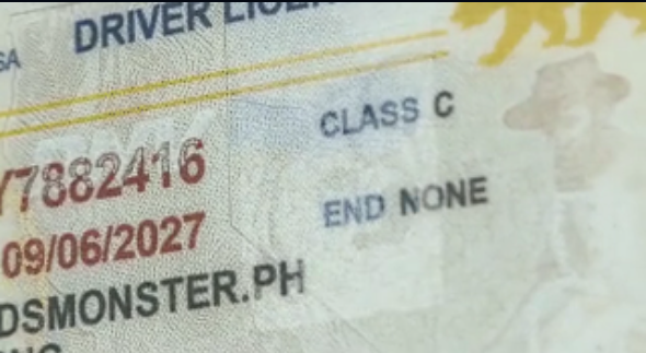 Hologram Hologram feature on best fake ID