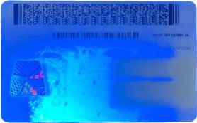 Fake ID UV Back - UV Mark Feature Best fake ID UV back view - hologram and UV mark